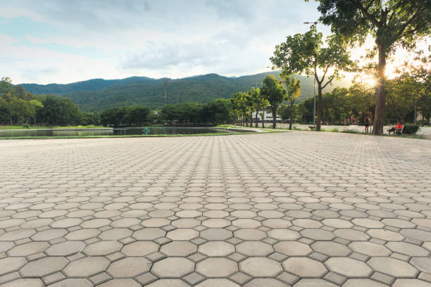 Best Brick Driveway Pavers  in Fuller Heights, FL